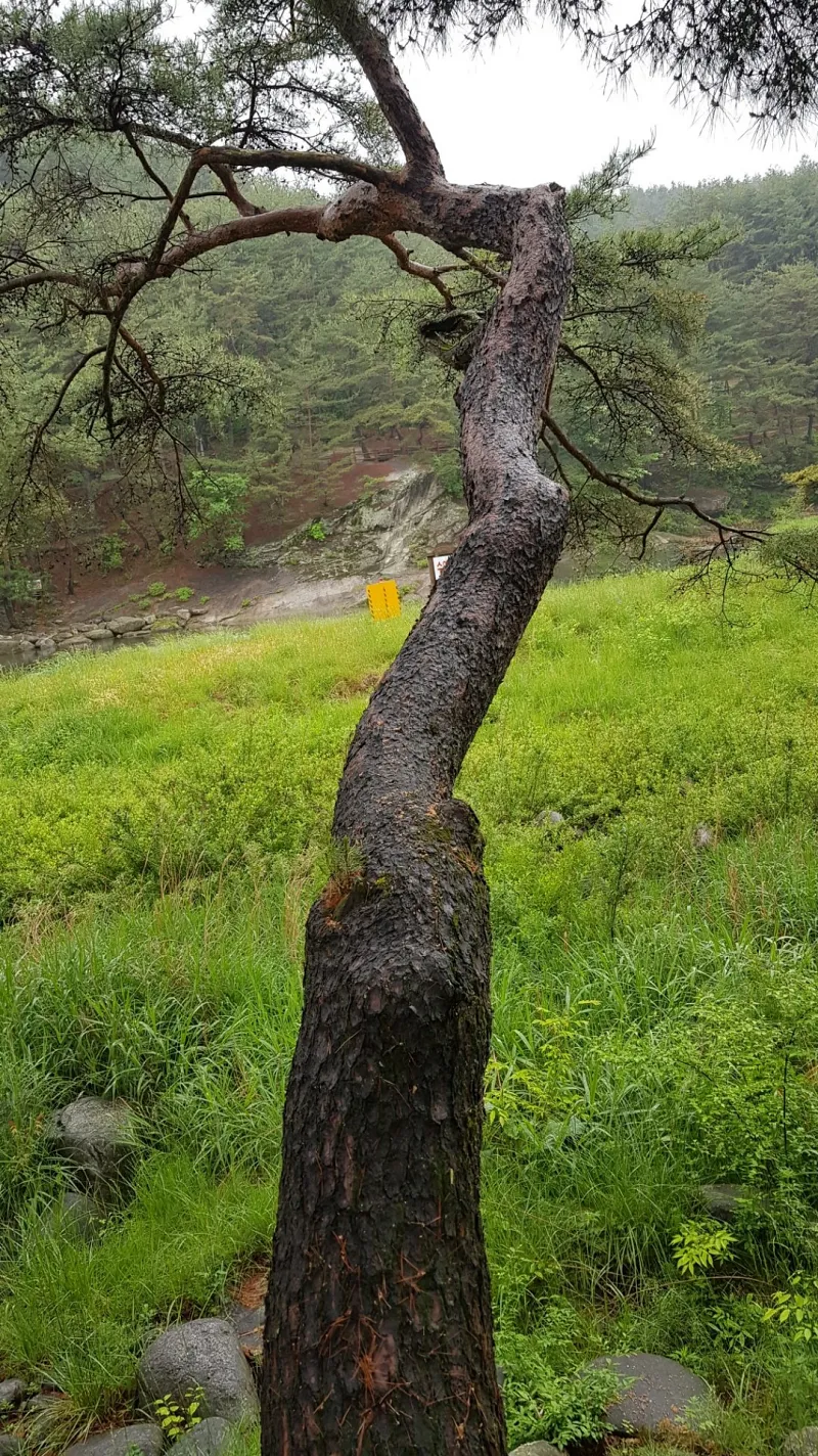 거창 수승대 둘레길