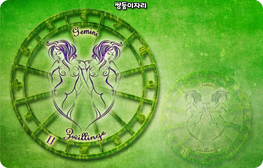생일 별자리로 알아보는 쌍둥이자리 성격