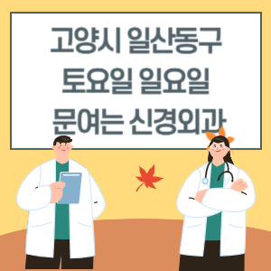 고양시 일산동구 토요일 일요일 신경외과 진료 문여는 병원 리스트