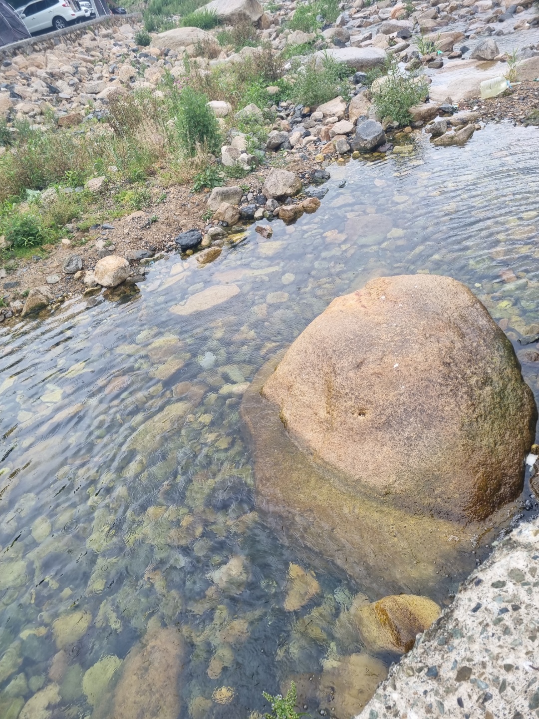 캠핑월드 앞 계곡