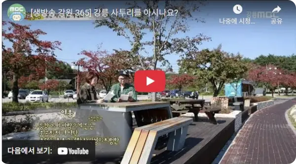 강릉시 가볼만한 곳