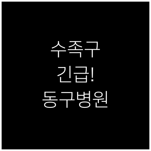 인천 동구 근처 수족구 진료 병원 및..