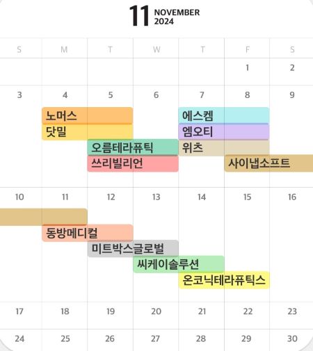 11월 공모주 일정 달력 이미지