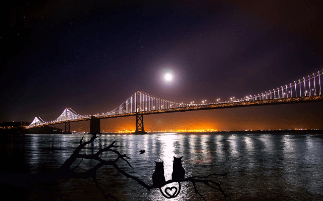 브런치 온더 브릿지 일정과 참가 신청