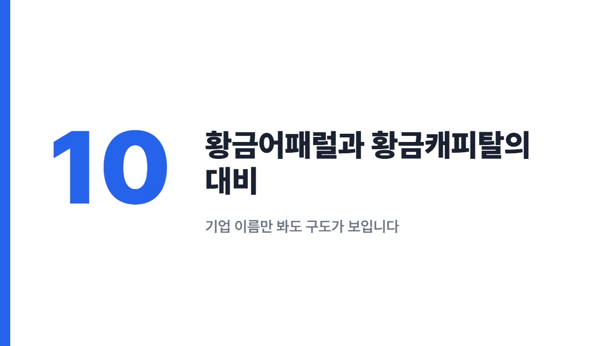 황금어패럴과 황금캐피탈의 대비 — 기업 이름만 봐도 구도가 보입니다