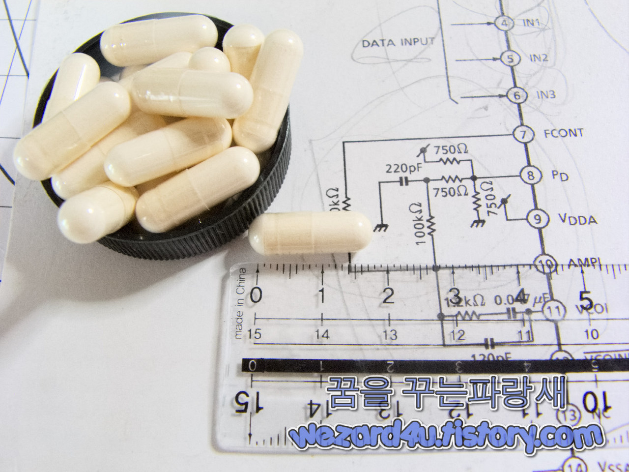 Swanson L Glutathione(Swanson l-글루타치온) 내용물