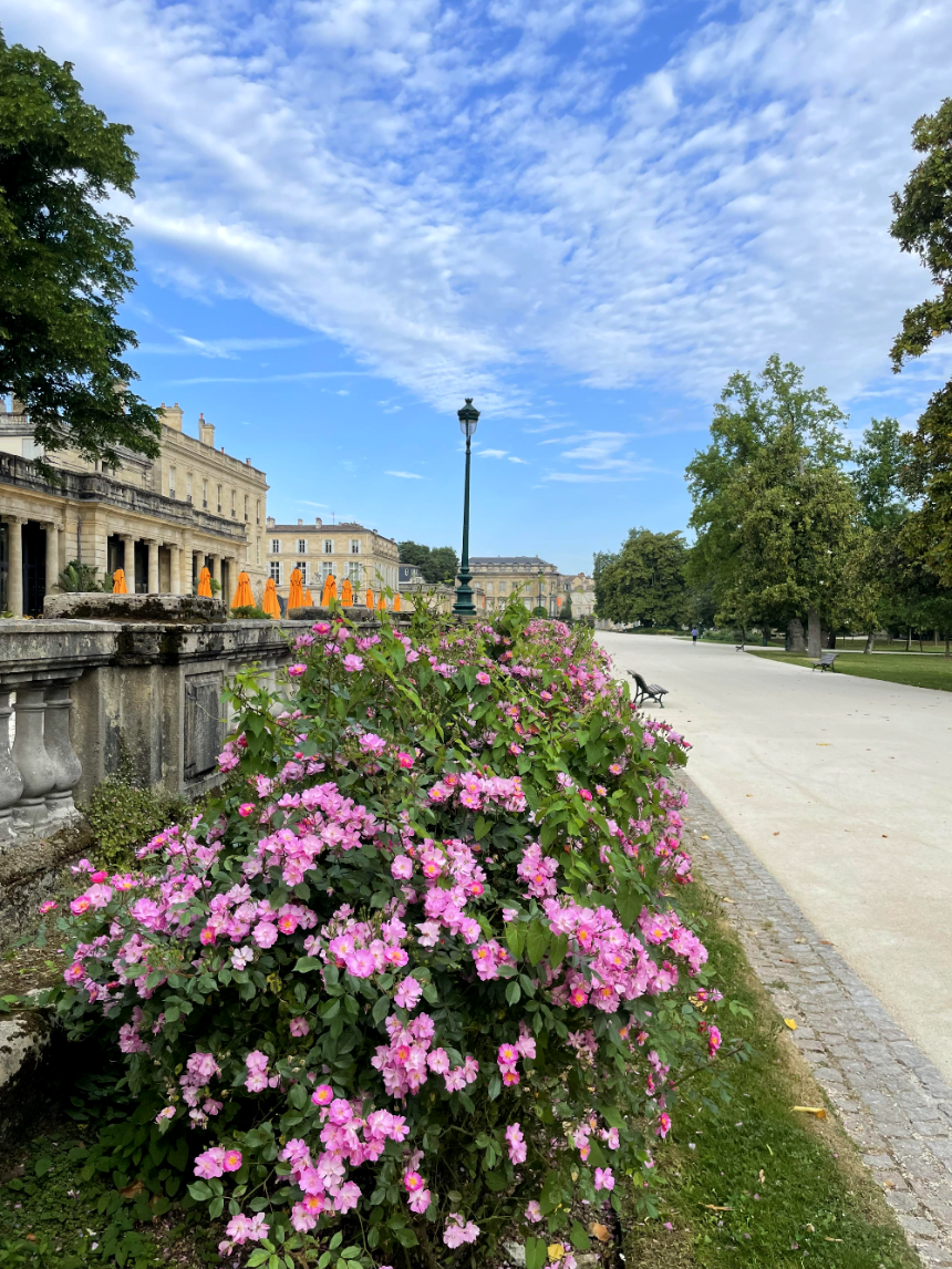 보르도 식물원 테라스