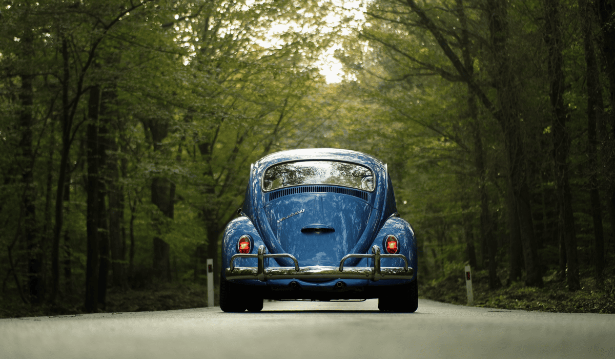 제주도_렌트카_비교사이트_31