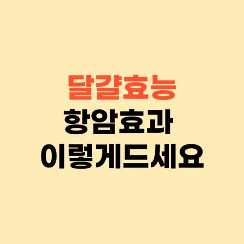 달걀 항암 비타민D 효능 ❘ 이렇게 드시면 됩니다