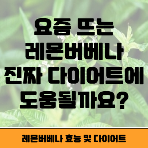 레몬버베나 썸네일