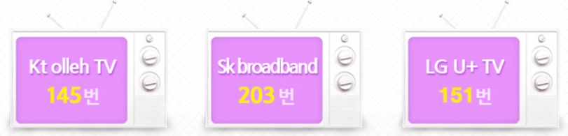 이벤트 TV 채널번호