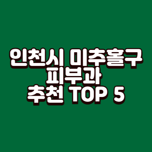 인천시 미추홀구 피부과 추천 TOP 5