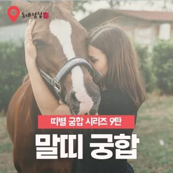 말띠 남녀 궁합 궁합표로 보는 결혼운 사랑운 종합 분석_6