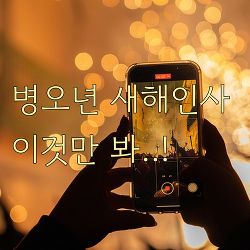 병오년 새해 인사말 모음 부모님 직장..