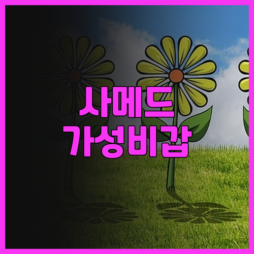 사메드 트로피컬 리조트, 가성비 최고