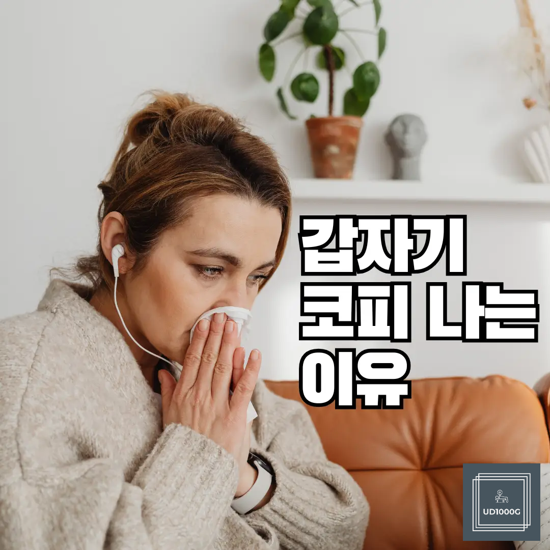 갑자기코피날때