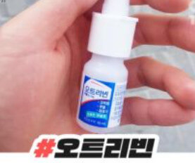 알레르기 비염에 좋은 영양제