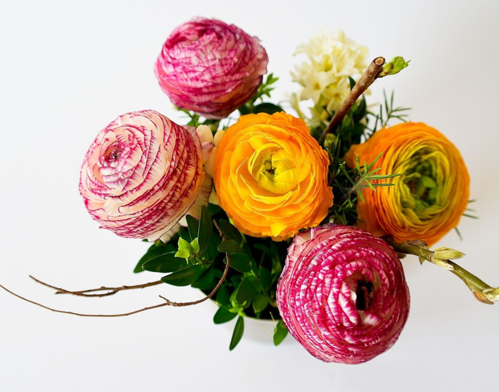 무료 모바일 초대장 앱으로 만들기 다운로드