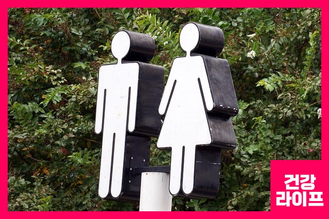 오줌이 자주 마려운 이유 예방법