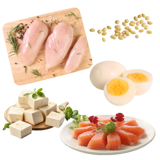 운동 후 근육 회복을 돕는 단백질 음식