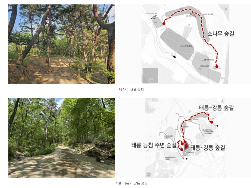조선왕릉숲길