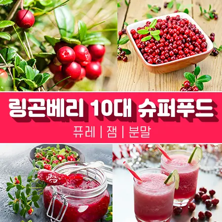 링곤베리 잼