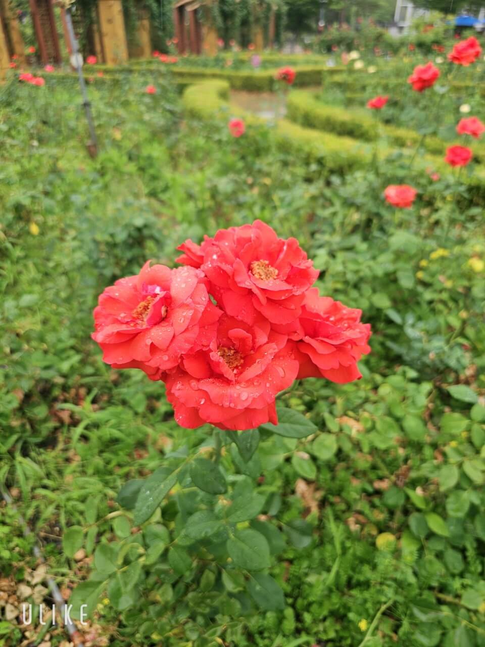 OECD 국가별 장애인 복지 지출 비교