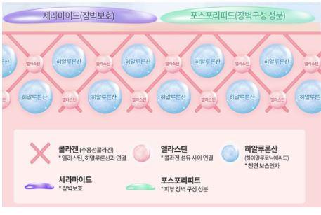 마데카크림 효능