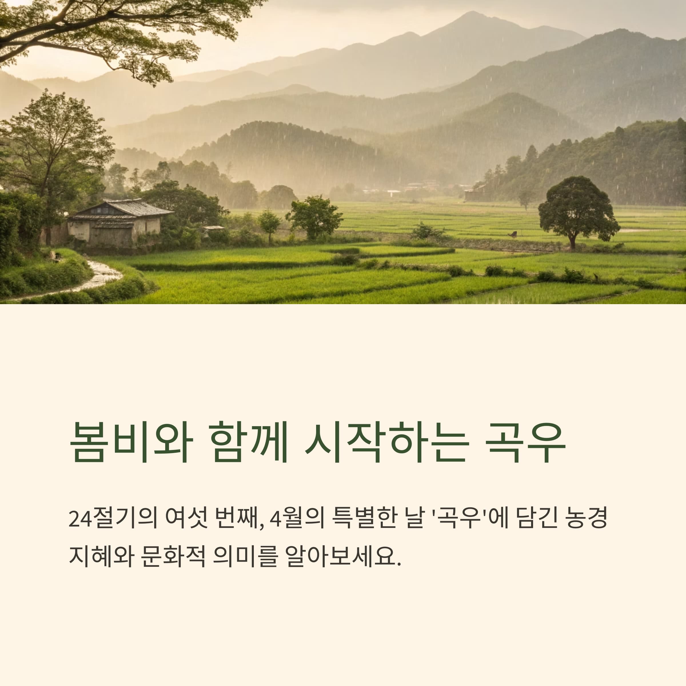 곡우-절기