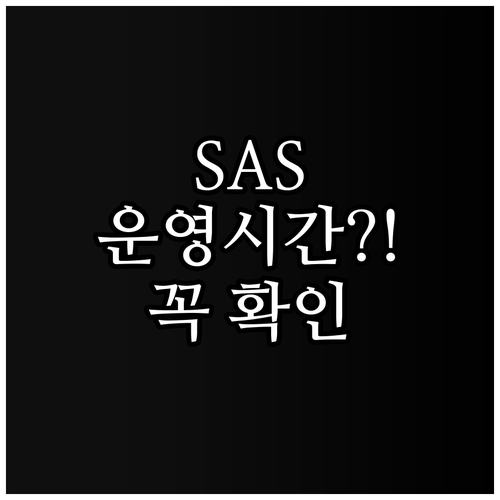 스칸디나비아항공 고객센터 운영 시간 ..
