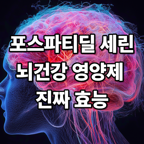 포스파티딜 세린 효능