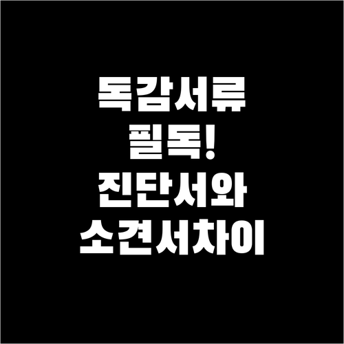 독감 서류 발급 전 필독 진단서와 소..