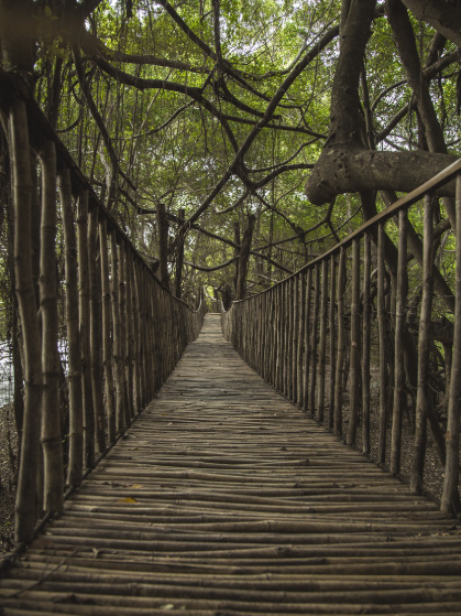 자연휴양림 수락 휴 예약 방법부터 우선예약, 요금, 이용 꿀팁까지 총정리!