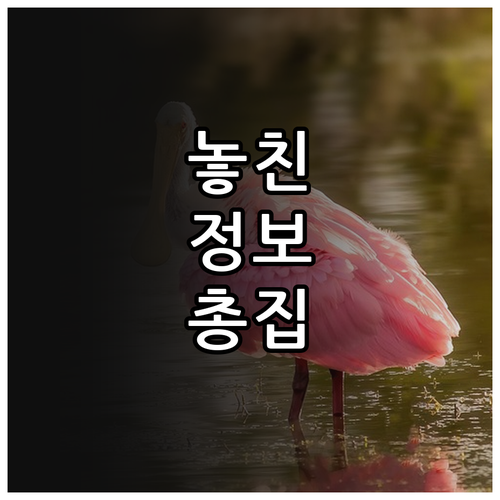 무주택 국가유공자 2025 보훈복지타..