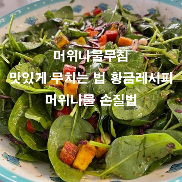 머위나물무침 맛있게 무치는 법 황금레시피 머위나물 손질법