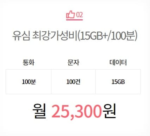 월25,300원 요금제