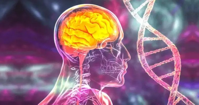 [G00-G99] VI. 신경계통의 질환(G00-G99)