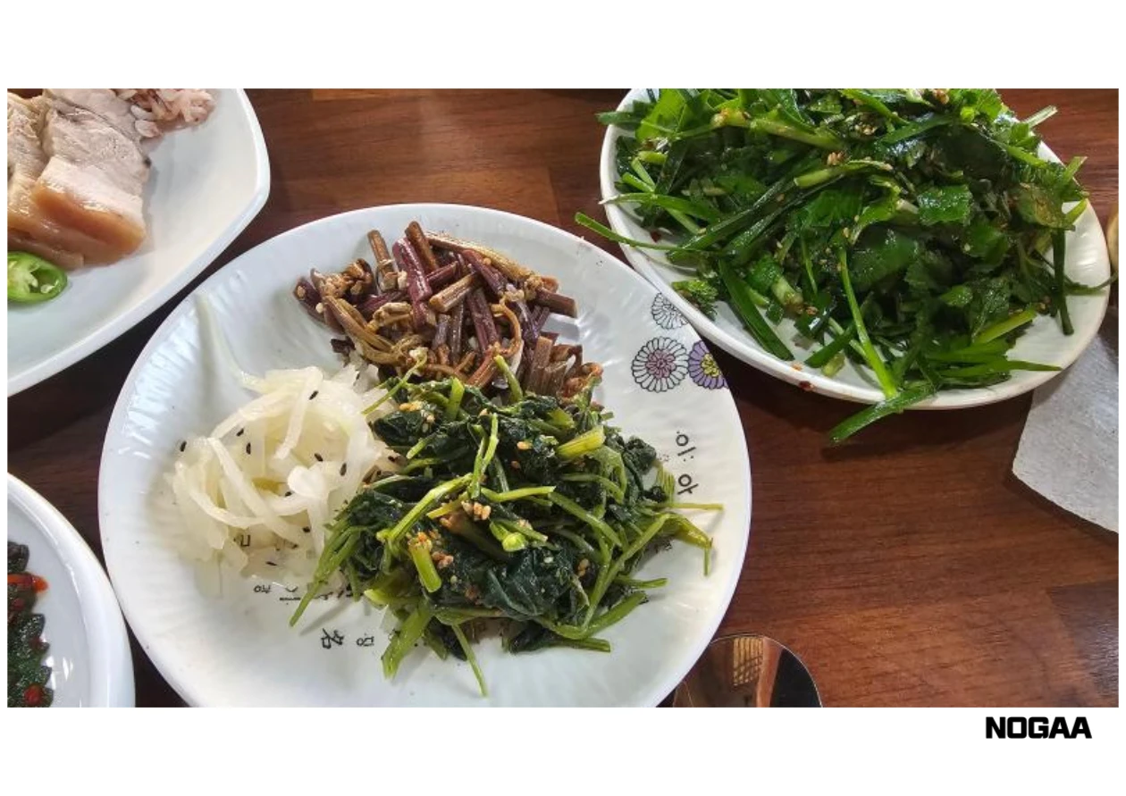 고사리를 활용한 요리법