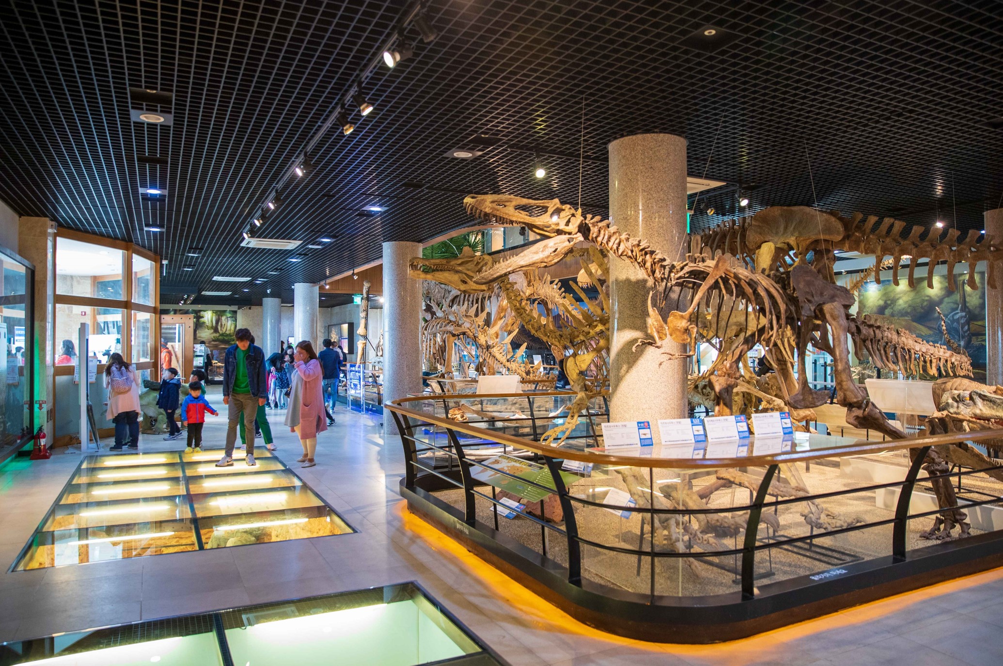 태안-안면도-가볼만한-곳-안면도-쥬라기-박물관