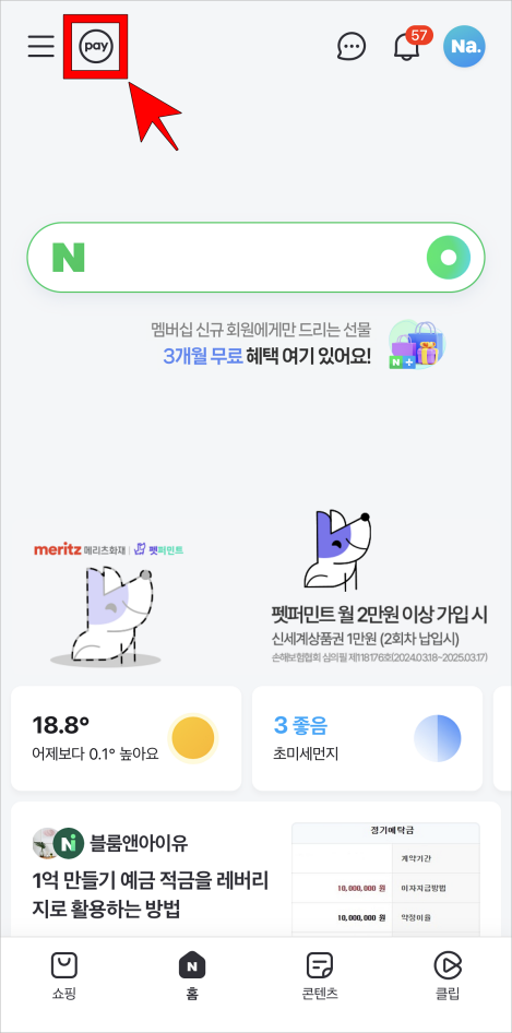 네이버 상단의 'pay'를 선택