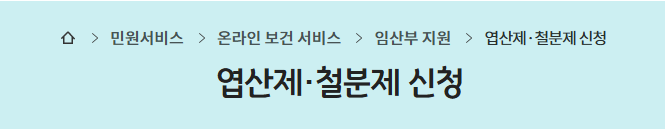 임산부 철분제 지원