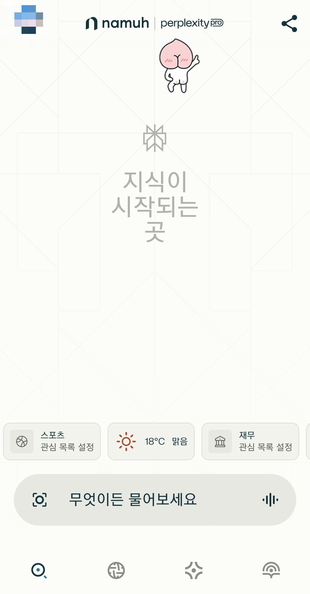 퍼플렉시티 프로