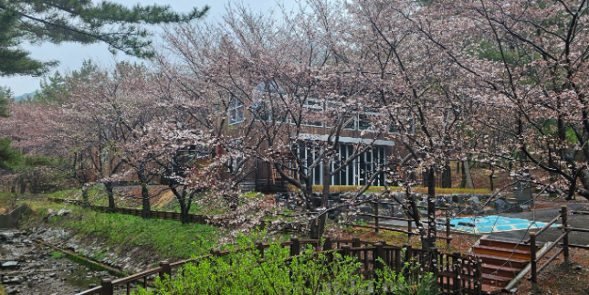 국립자연휴양림