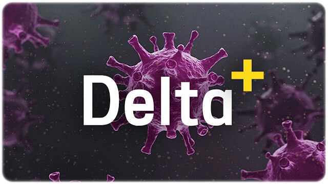 델타 플러스 변이