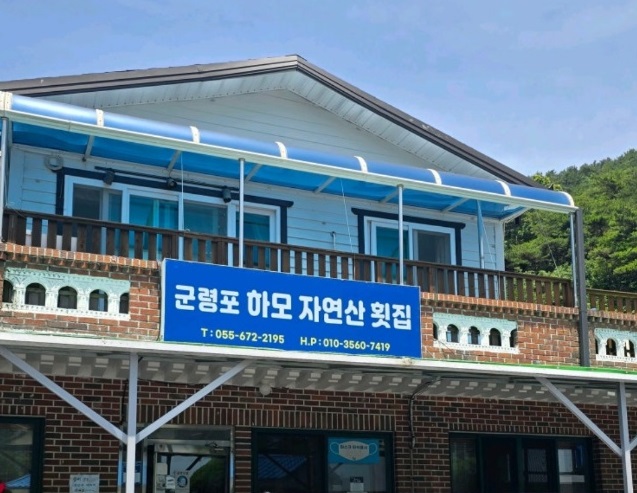 군령포하모자연산횟집-여름바다가약이다-보양생선