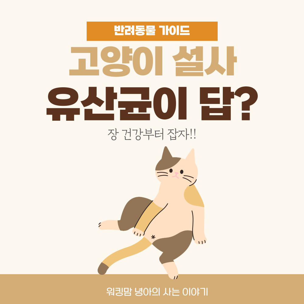 고양이-설사-유산균-포스팅-대문이미지