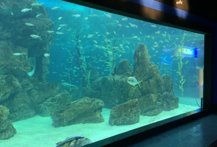 울진 아쿠아리움