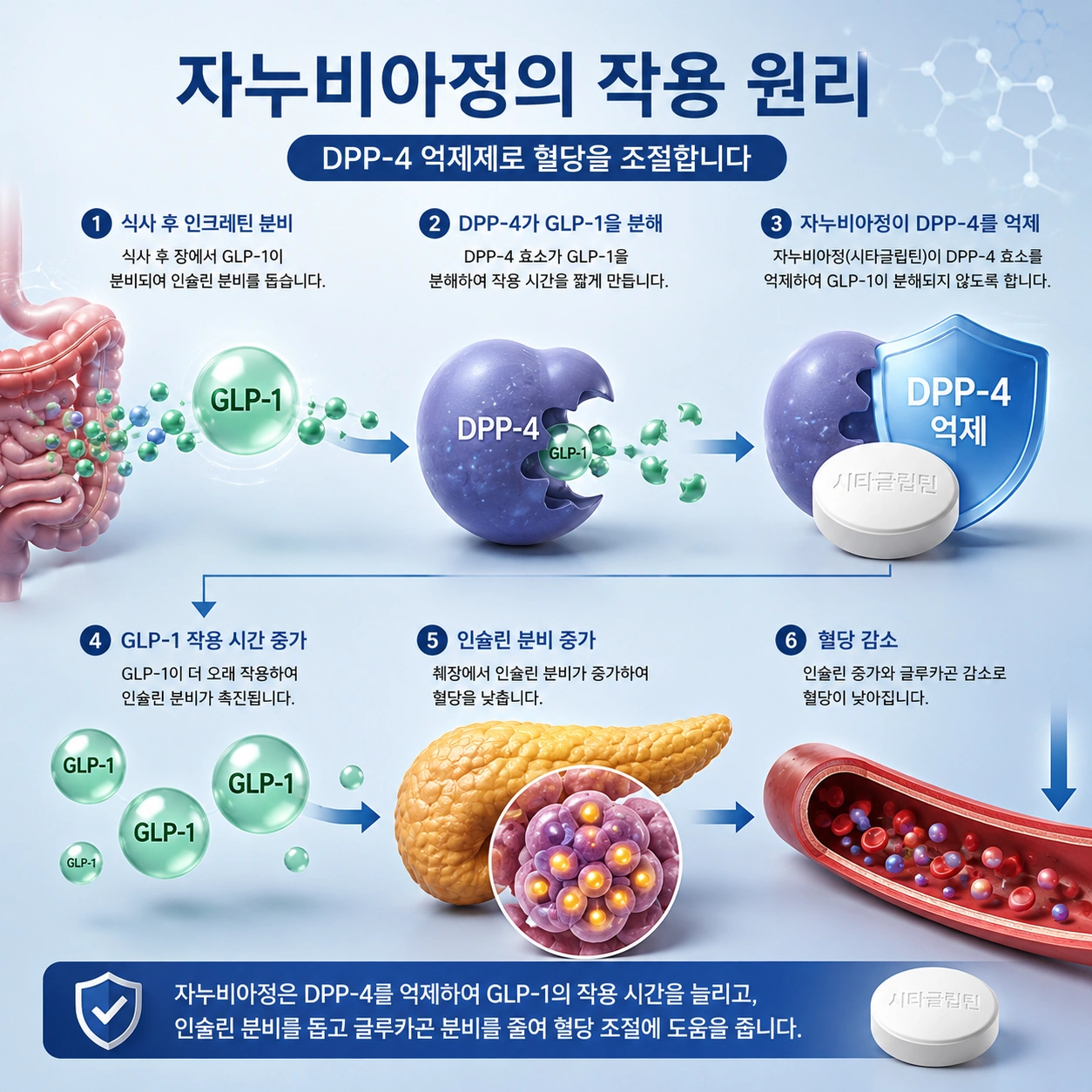 02_자누비아정_DPP-4억제제_작용원리