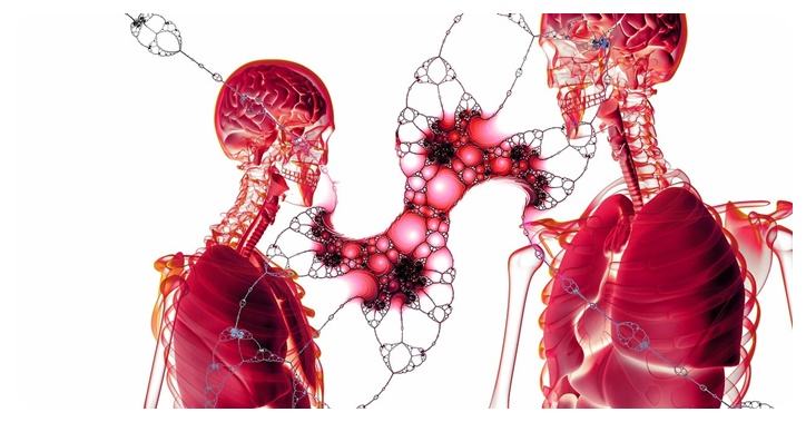 뼈 건강, 간 건강