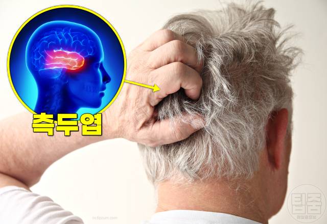 운동부족 증상 병 테스트,건망증